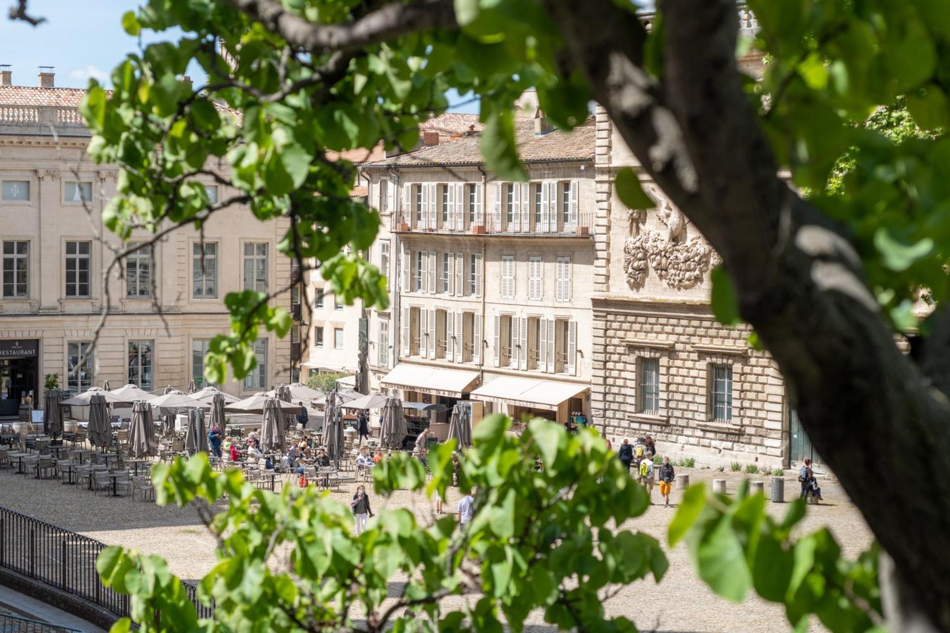 Bien D'Exception En Face Du Palais Des Papes Apartment Авиньон Екстериор снимка